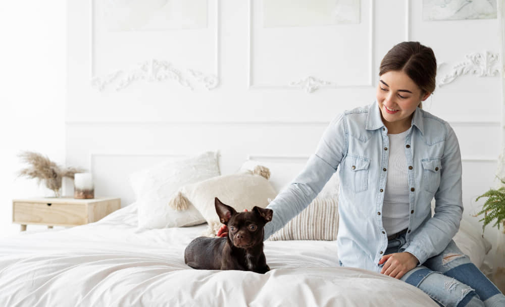 Imagen de una mujer y su mascota en un hotel pet-friendly.